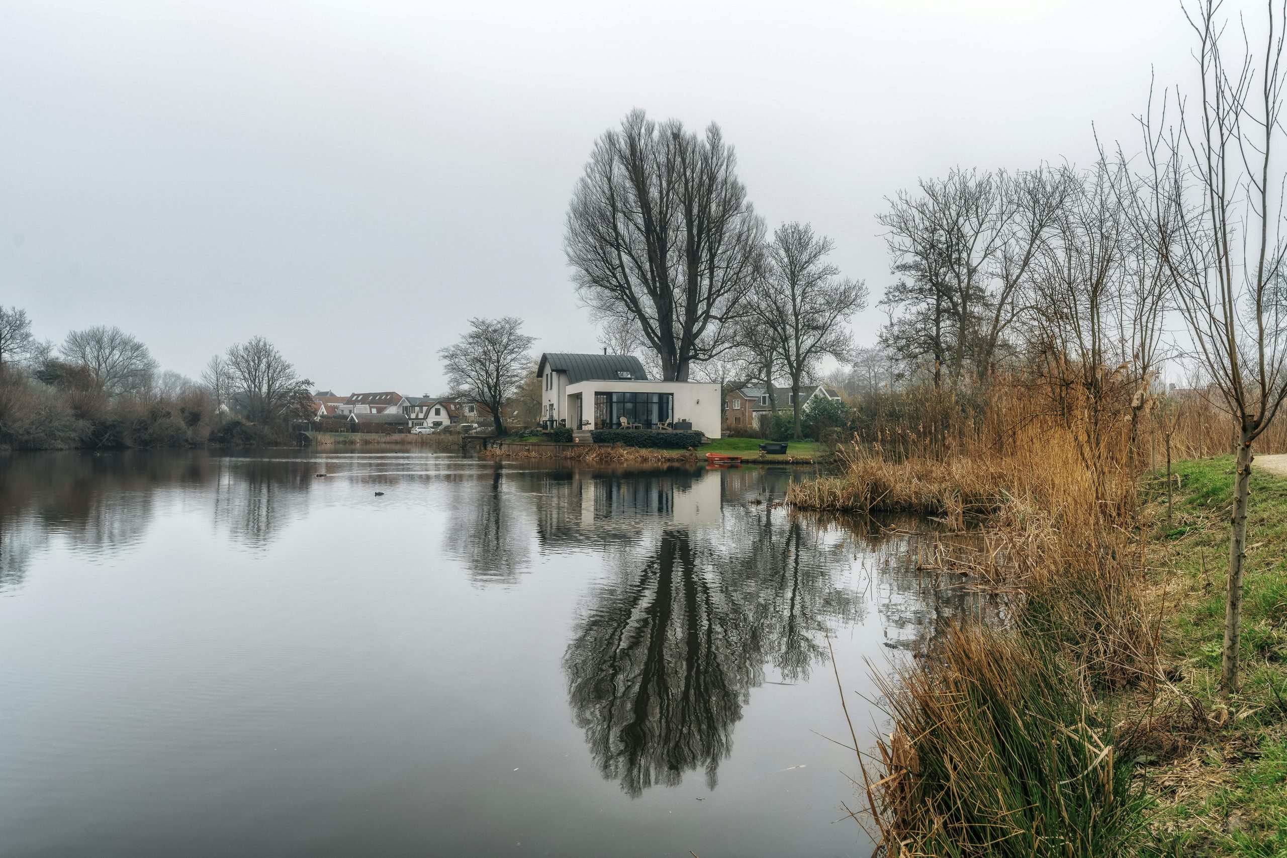 Mehr als nur das „Haus am See“: Was kommt bei Zwangsversteigerungen wirklich unter den Hammer? 🏠🔨