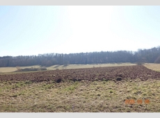 Beitragsbild zu Landwirtschaftsfläche in Böblingen