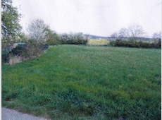 Beitragsbild zu Landwirtschaftsfläche in Leimen - St. Ilgen